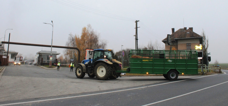 Pietní akt u kosteleckých jatek
