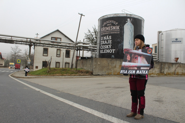 Pietní akt u kosteleckých jatek