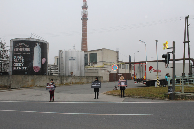 Pietní akt u kosteleckých jatek