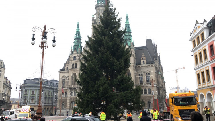 Vánoční strom už je na náměstí