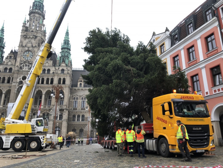 Vánoční strom už je na náměstí