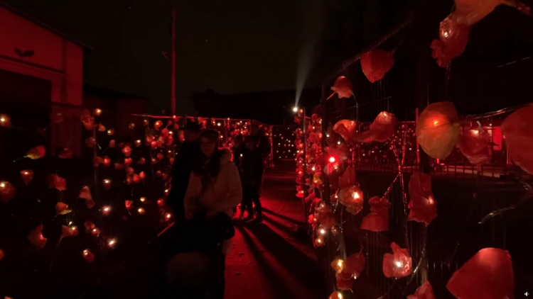 Instalace „Květy svobody 39“ v DEPO2015 připomněla události spojené s nástupem fašismu v roce 1939, foto DEPO2015