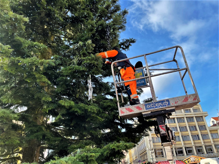 FOTOGALERIE: Zdobení vánočního stromu 2021