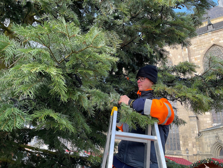 FOTOGALERIE: Zdobení vánočního stromu 2021