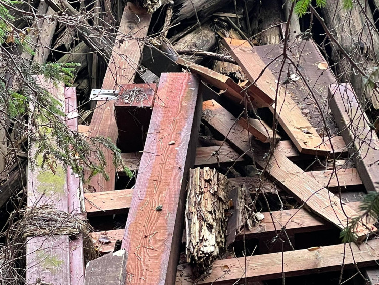 FOTOGALERIE: Černá skládka srdci v NP Šumava