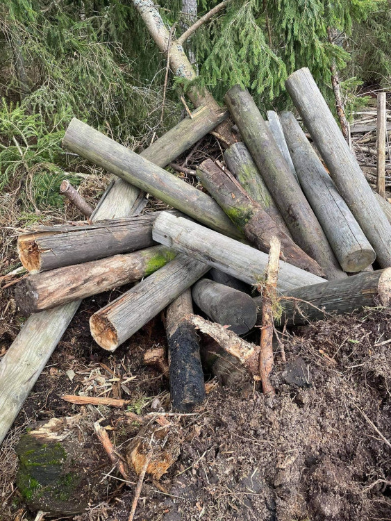 FOTOGALERIE: Černá skládka srdci v NP Šumava