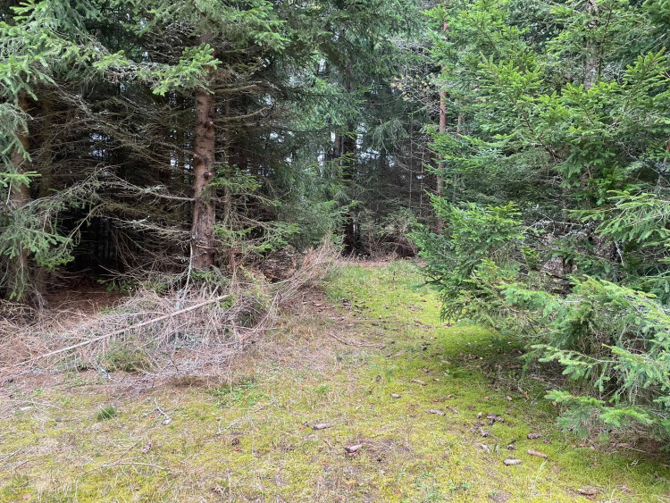 FOTOGALERIE: Černá skládka srdci v NP Šumava