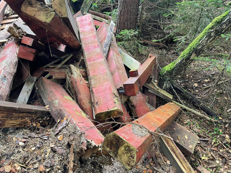 FOTOGALERIE: Černá skládka srdci v NP Šumava