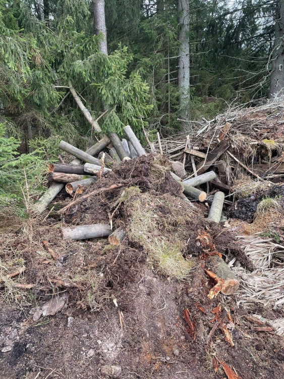 FOTOGALERIE: Černá skládka srdci v NP Šumava