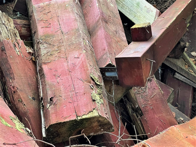 FOTOGALERIE: Černá skládka srdci v NP Šumava