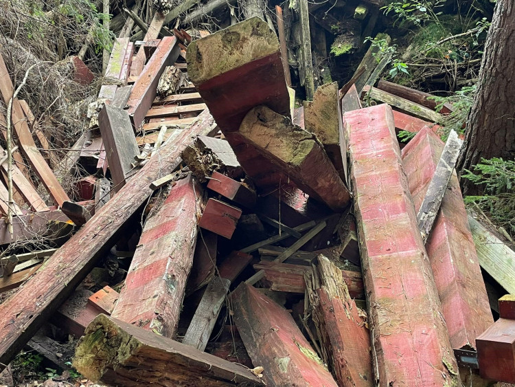 FOTOGALERIE: Černá skládka srdci v NP Šumava