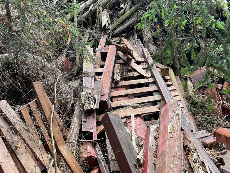 FOTOGALERIE: Černá skládka srdci v NP Šumava