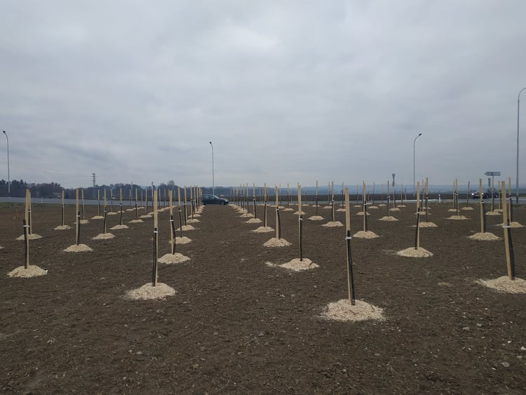 FOTOGALERIE: Severní obchvat Prostějova v provozu