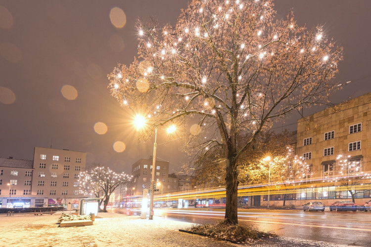 Vánočně osvícený Hradec Králové 2021 | foto: Zdeněk Puš