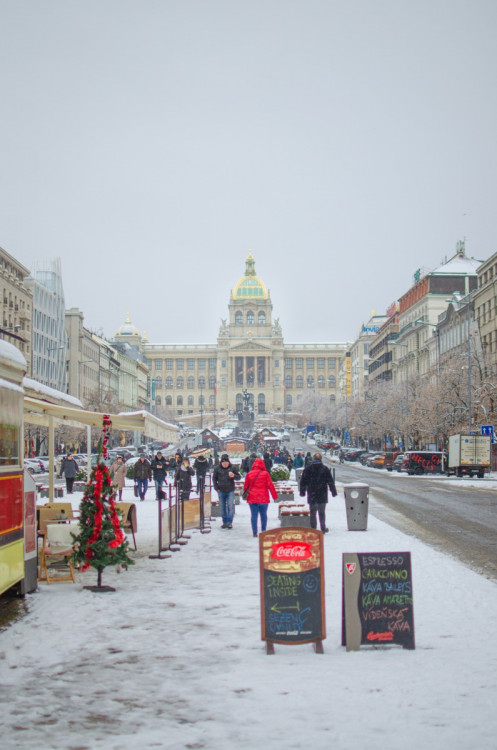 První sníh letošní zimy v Praze