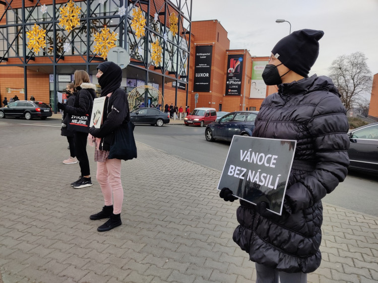 FOTOGALERIE: Tichá ulička za kapry