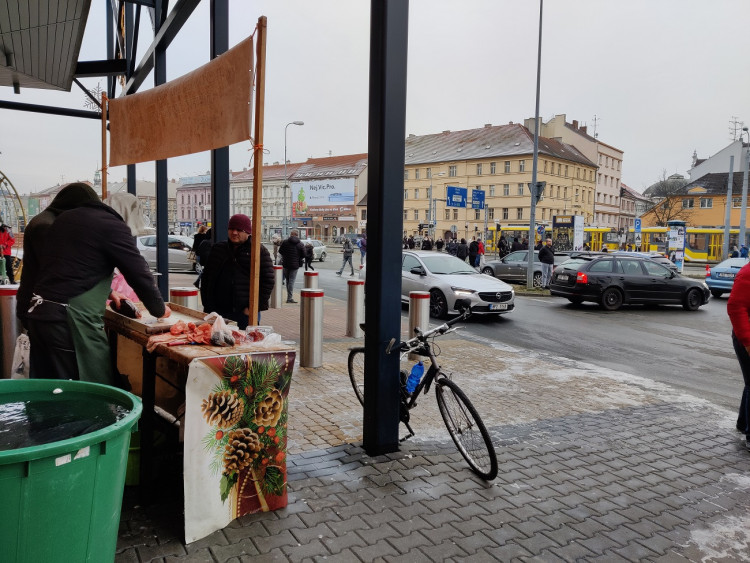 FOTOGALERIE: Tichá ulička za kapry