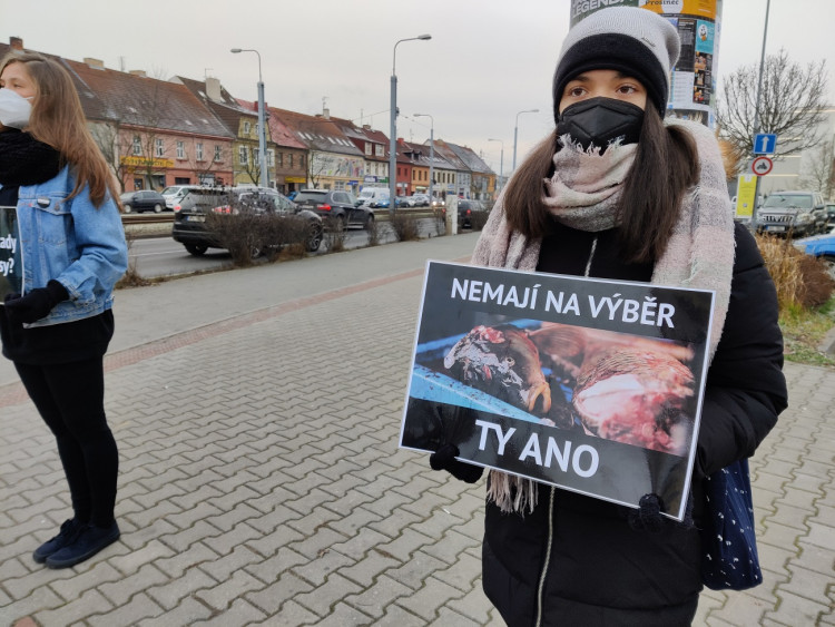 FOTOGALERIE: Tichá ulička za kapry