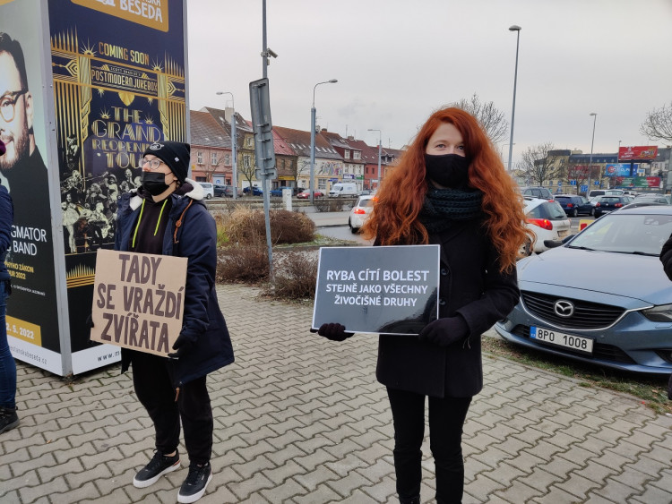 FOTOGALERIE: Tichá ulička za kapry