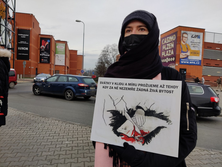 FOTOGALERIE: Tichá ulička za kapry