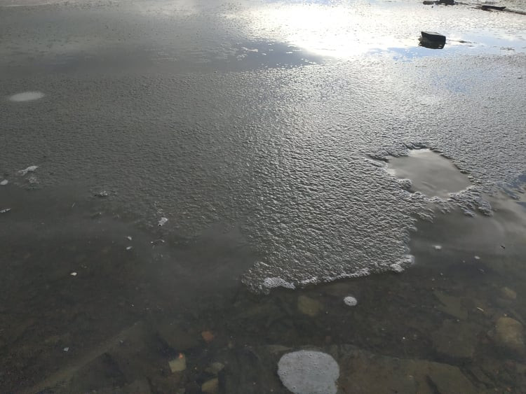 FOTOGALERIE: Tradiční koupání na Štědrý den