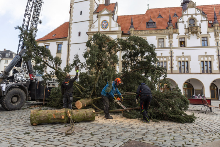 Zase za rok. Vánoční strom už v centru Olomouce nestojí, kmen zpracují řezbáři