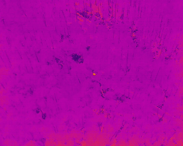 Teplotní stopa, jak ji zachytila termovize z dronu