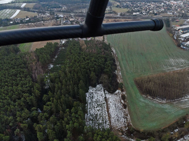 Prohledával se rozsáhlý lesní porost