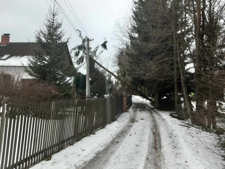 Hasiči zasahují v souvislosti se silným větrem u mnoha událostí