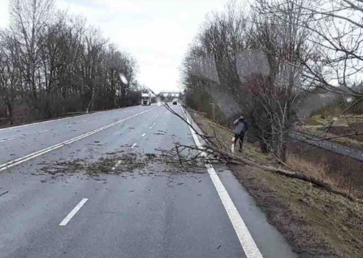 Silný vítr zaměstnal hasiče
