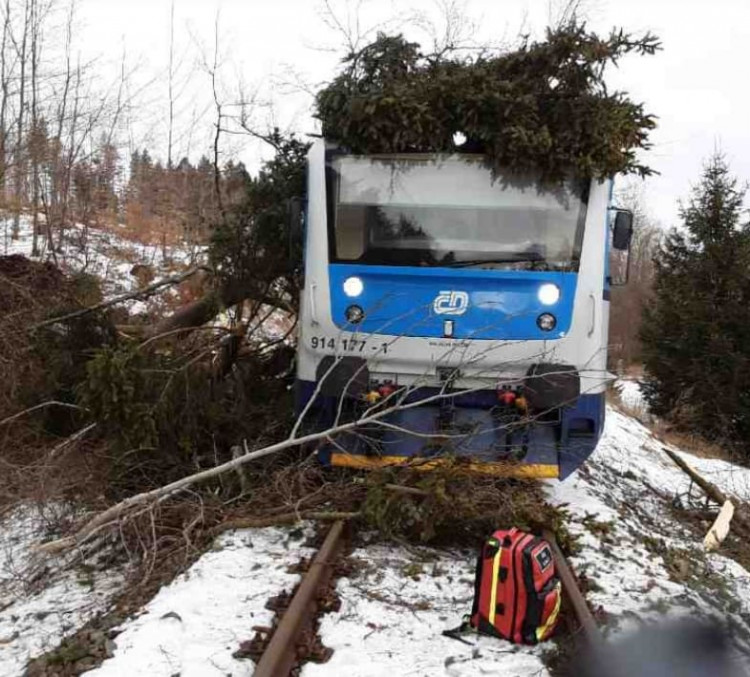 Silný vítr zaměstnal hasiče