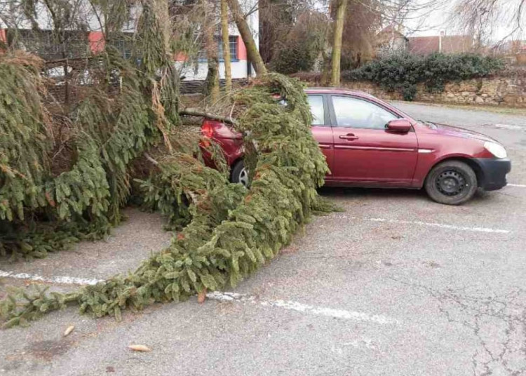 Silný vítr zaměstnal hasiče