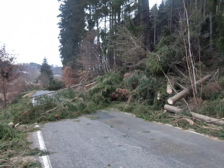 FOTOGALERIE: Silný vítr zaměstnal hasiče