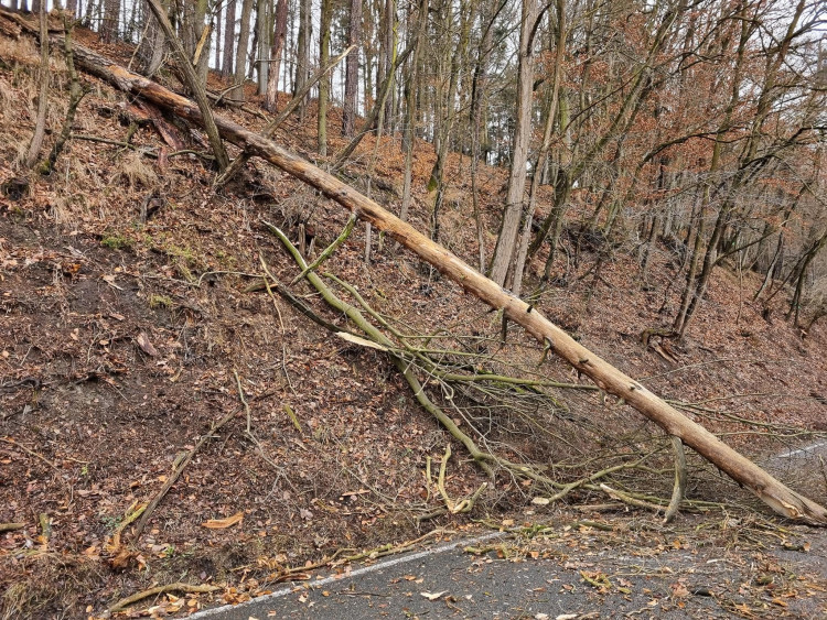 FOTOGALERIE: Silný vítr zaměstnal hasiče