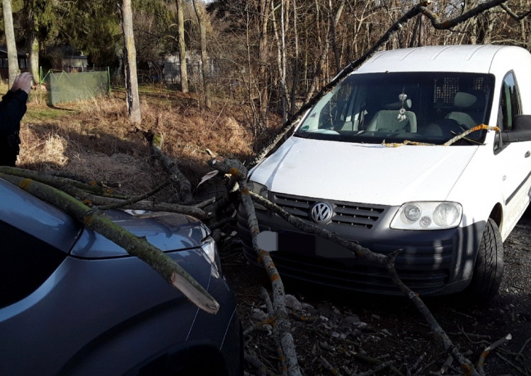 FOTOGALERIE: Silný vítr zaměstnal hasiče