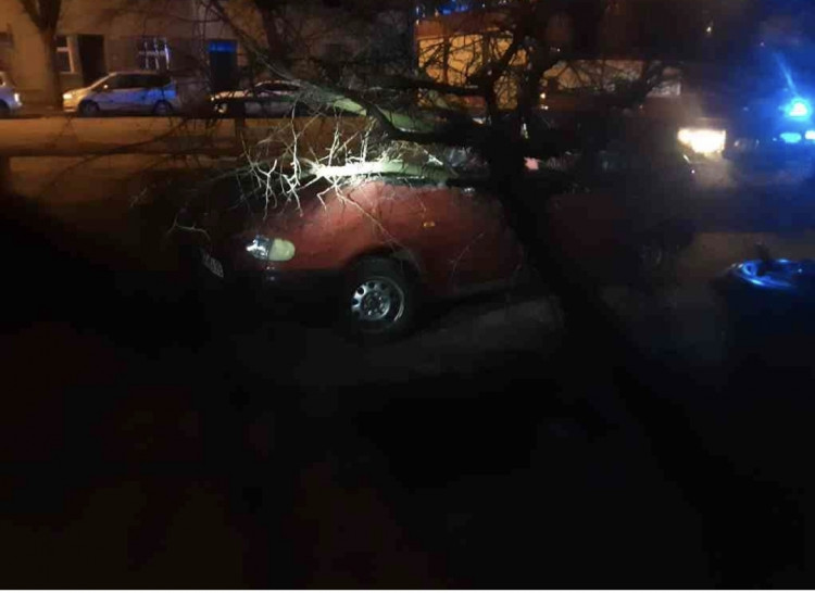 FOTOGALERIE: Silný vítr zaměstnal hasiče