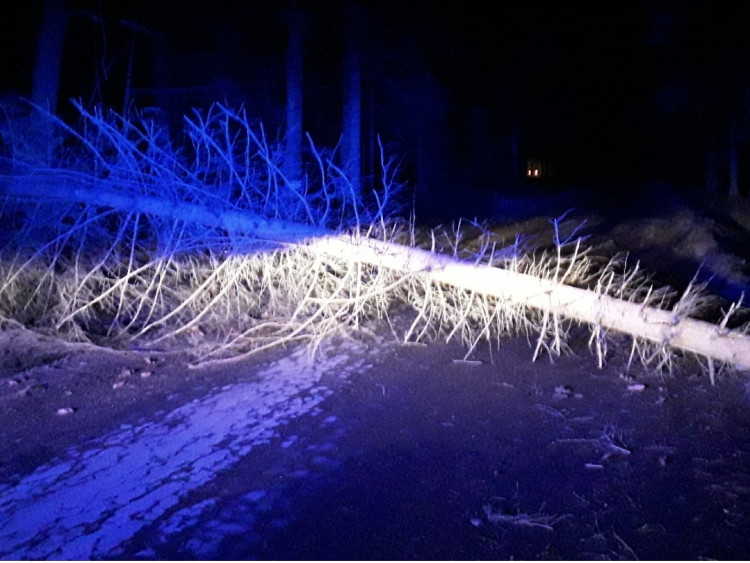 FOTOGALERIE: Silný vítr zaměstnal hasiče