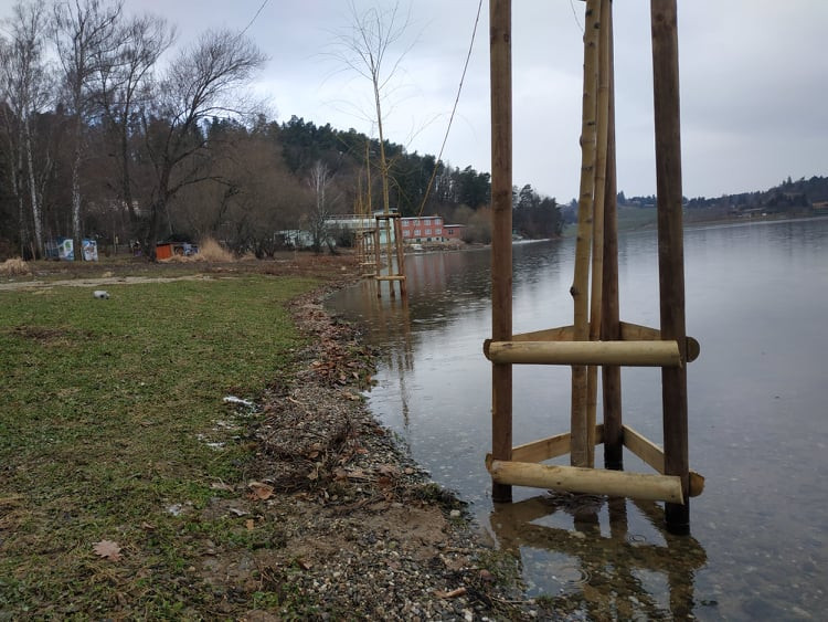 FOTOGALERIE: Nové vrby na Plumlovské přehradě