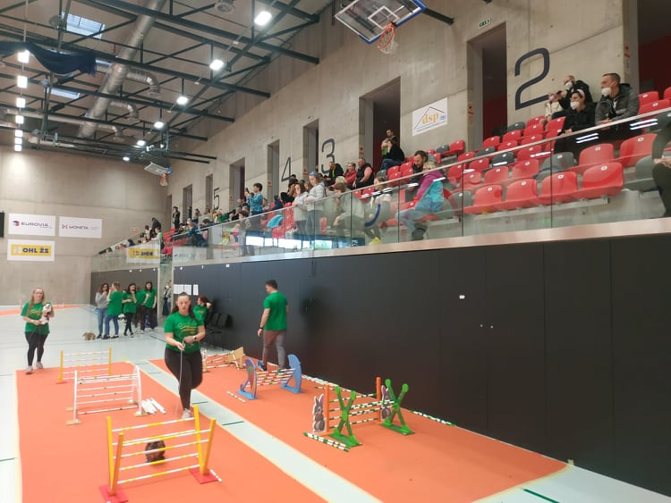 FOTOGALERIE: Dráha, parkur, skok vysoký a skok daleký. To je králičí hop