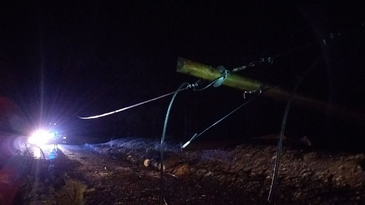 FOTOGALERIE: Následky vichřice