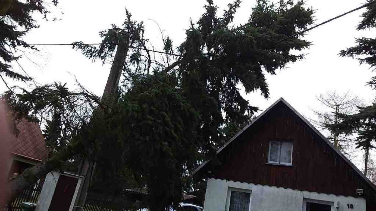 FOTOGALERIE: Následky vichřice