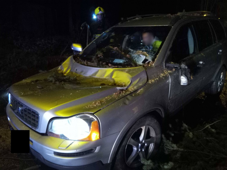 FOTOGALERIE: Následky vichřice