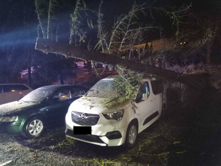 FOTOGALERIE: Následky vichřice