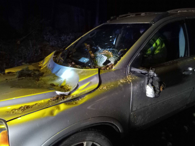 FOTOGALERIE: Následky vichřice