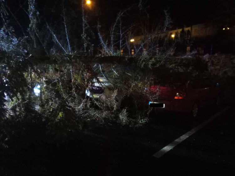 FOTOGALERIE: Následky vichřice