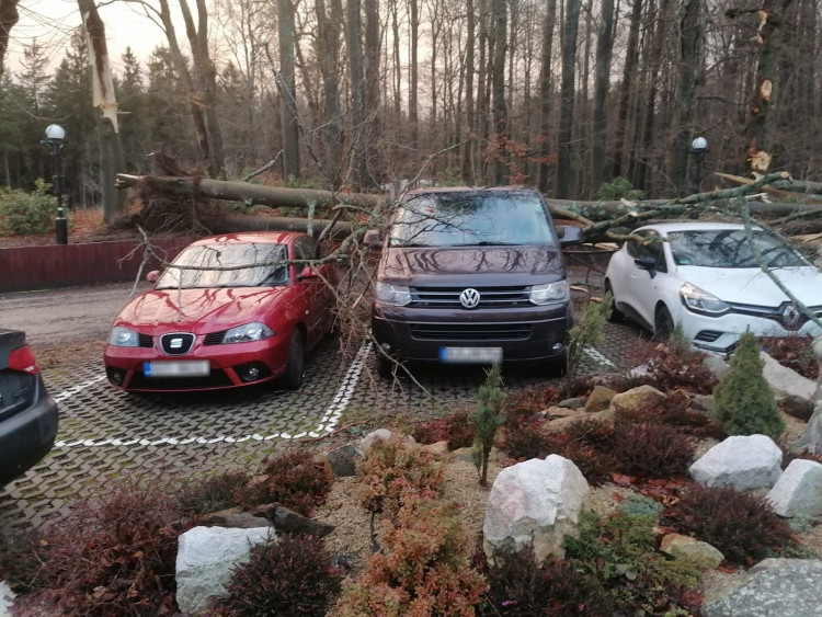 FOTOGALERIE: Následky vichřice