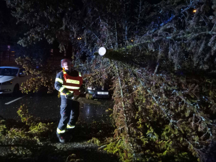 FOTOGALERIE: Následky vichřice