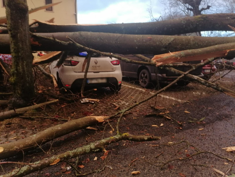 FOTOGALERIE: Následky vichřice