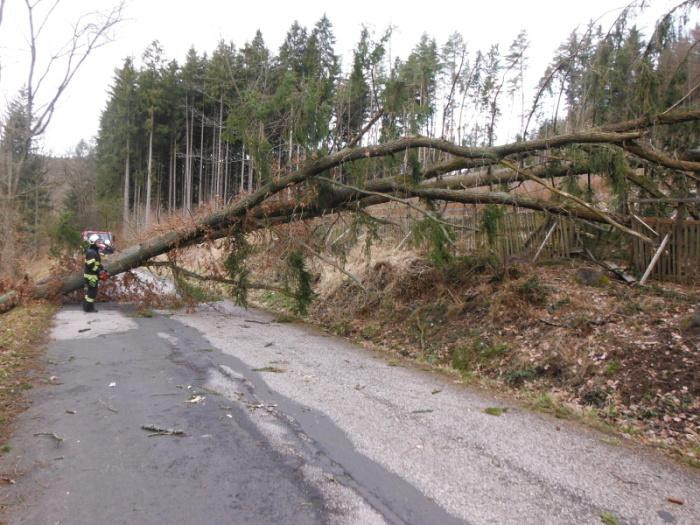 Následky silného větru hasiči řešili i o víkendu