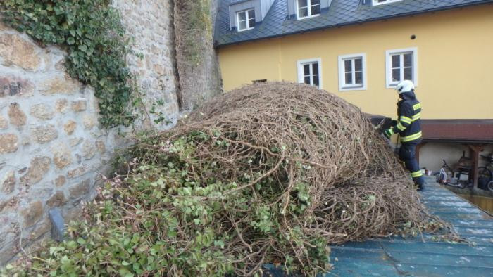 Následky silného větru hasiči řešili i o víkendu